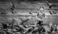 332 - CHASING PIGEONS - GRABHAM JOE - united kingdom <div